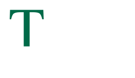 TFX-Artist